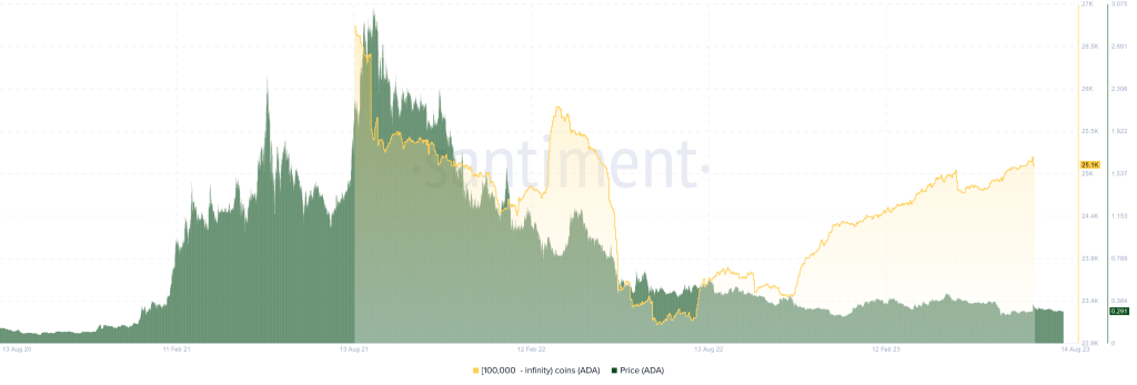 Cardano Whales накопичується