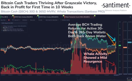 Сантимент BCH