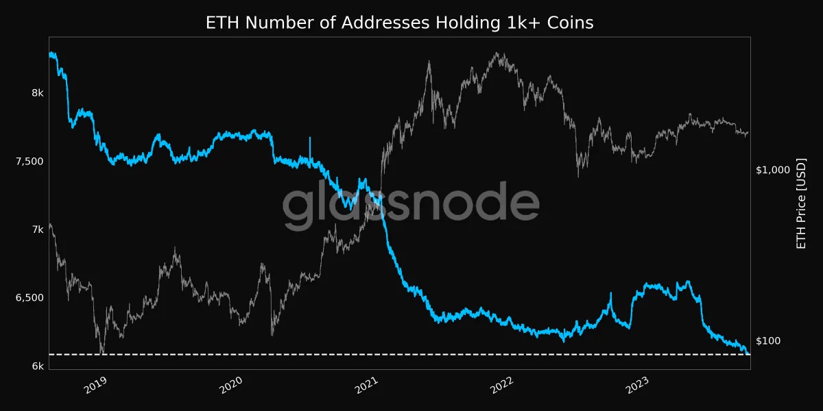 Ethereum (ETH) кількість адрес, що містять більше 1000 ефірів.