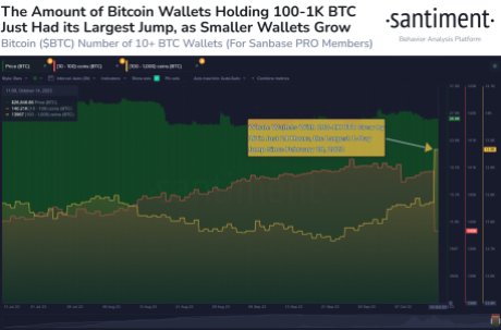 Биткоин-киты