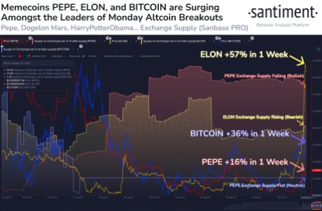 Мем-монети Bitcoin