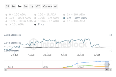 Кити Cardano ADA