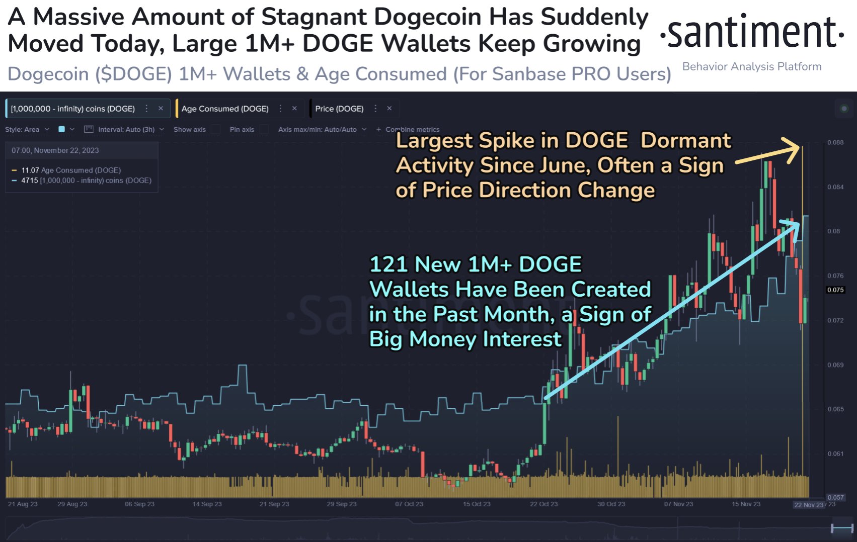 Dogecoin Sharks & Whales