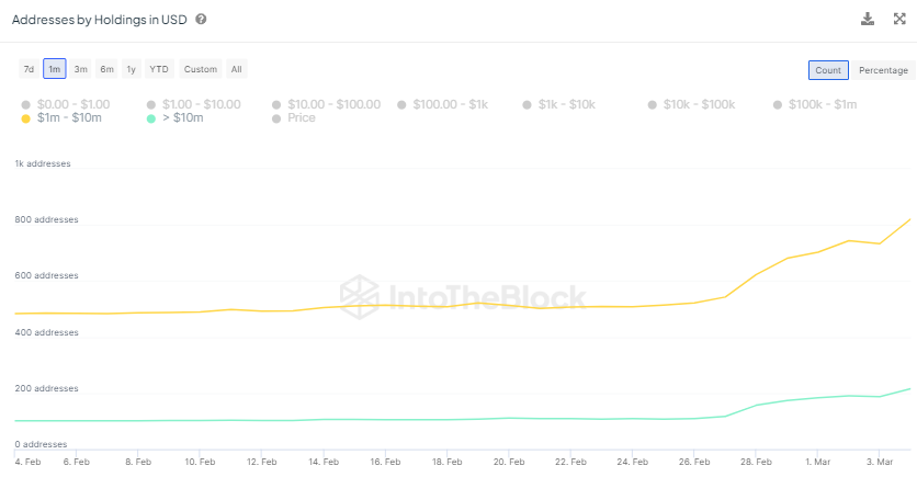 Миллионеры Dogecoin