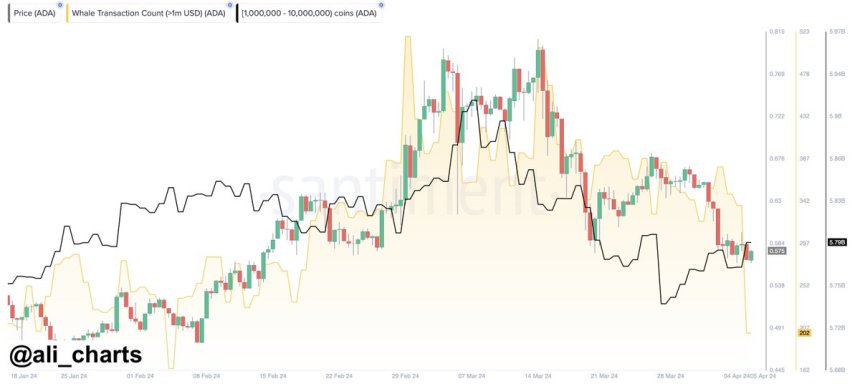 Ціна Cardano