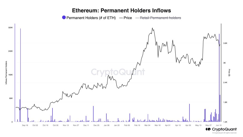 Приплив постійних власників Ethereum |Джерело: @@jjcmoreno через X