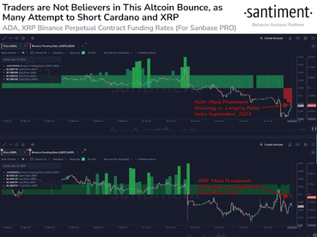 XRP Кардано