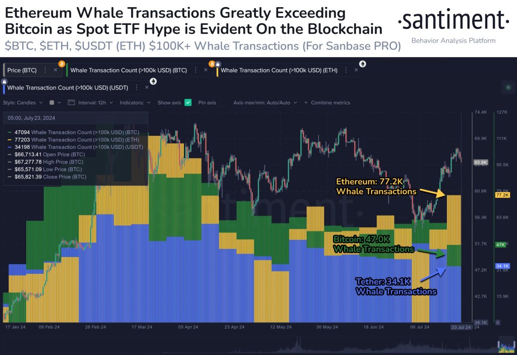 Кити Ethereum захоплюють |Джерело: @santimentfeed через X