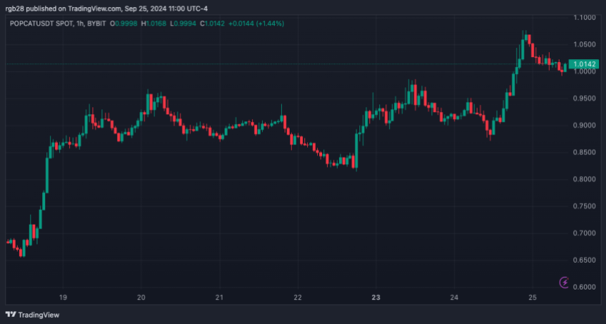 ПОПКАТ, ПОПКАТUSDT