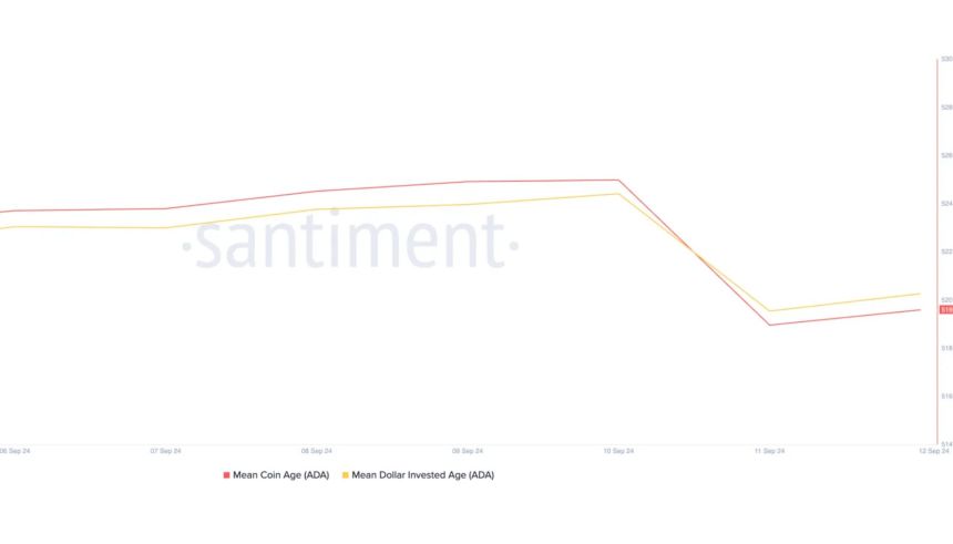 Средний возраст монет ADA и средний возраст долларовых инвестиций снижаются.