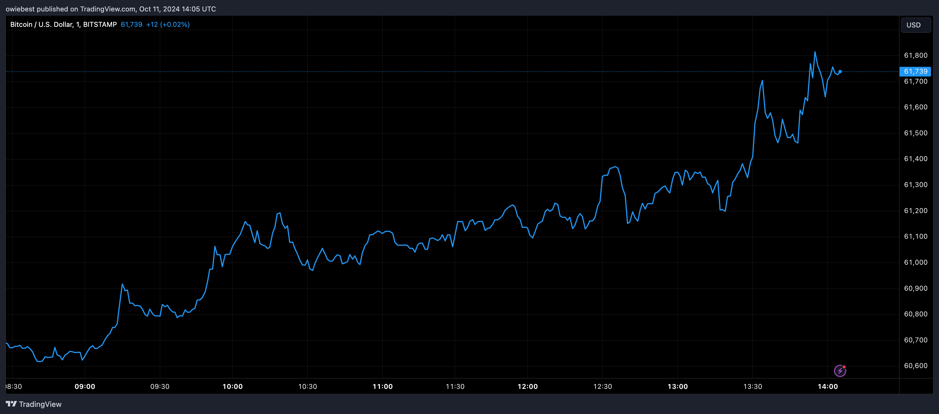 Графік цін на біткойни від Tradingview.com