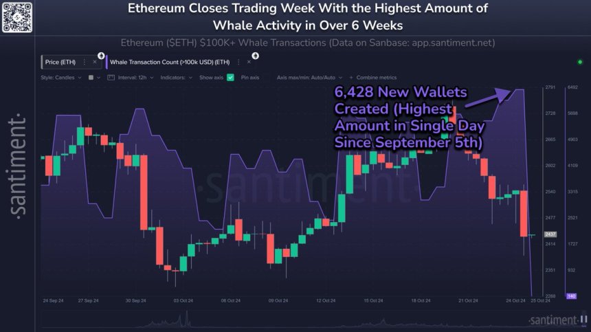 Активність Ethereum Whale досягла 6-тижневого максимуму