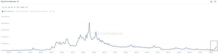 Щоденні активні адреси Cardano зростають