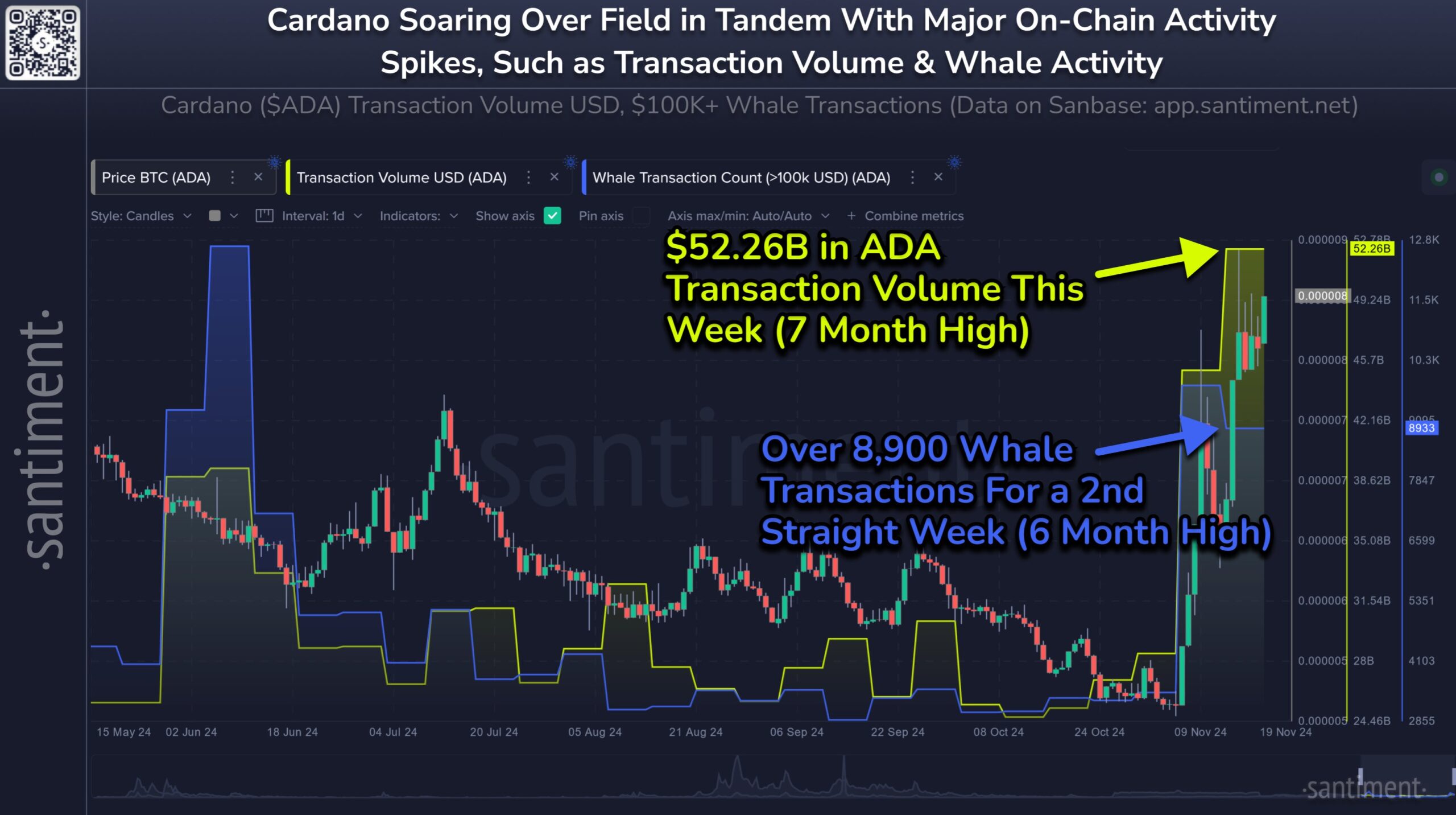 Cardano Volume & Whale Transactions