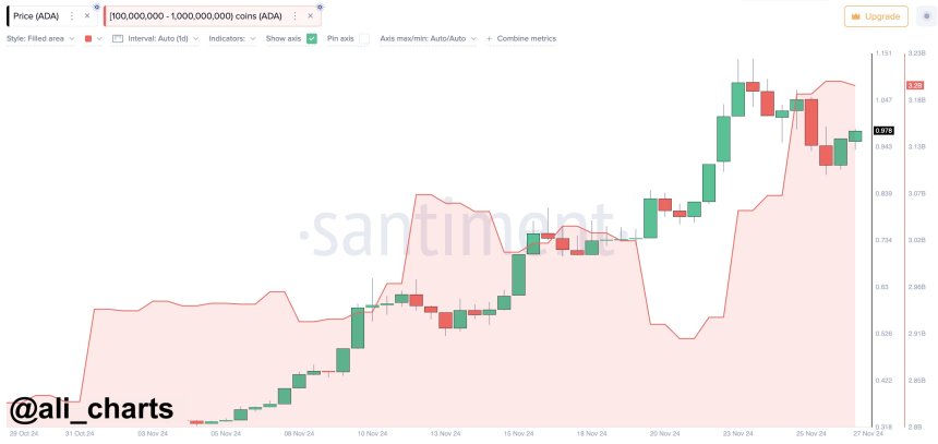 Під час нещодавньої корекції Cardano Whales купила понад 130 мільйонів ADA