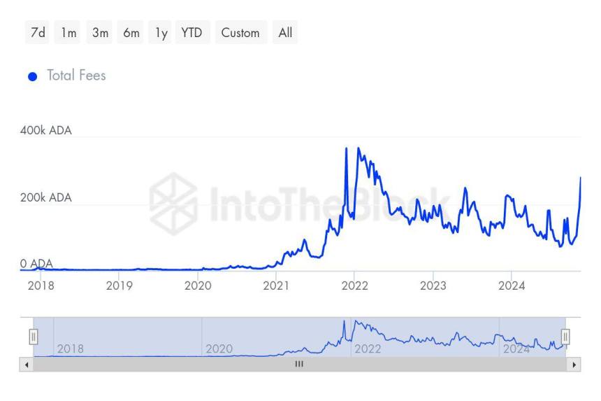 Cardano Total Transaction досягає багаторічних максимумів