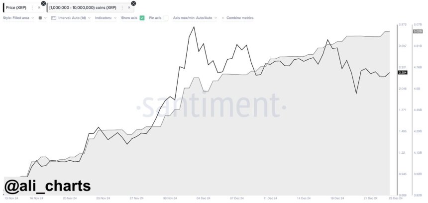 Киты XRP купили еще 40 миллионов XRP за последние 24 часа