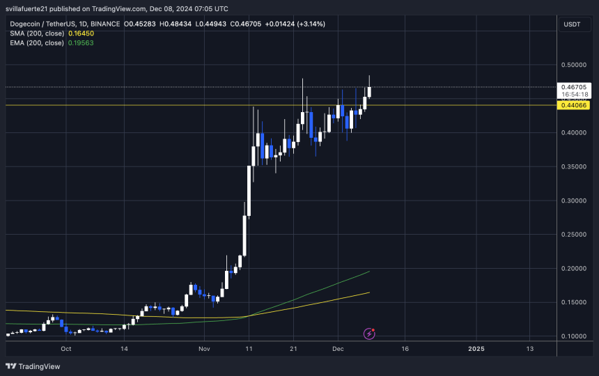 DOGE собирается начать митинг