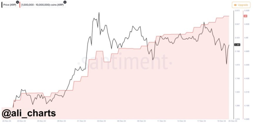 Завантаження XRP Whales