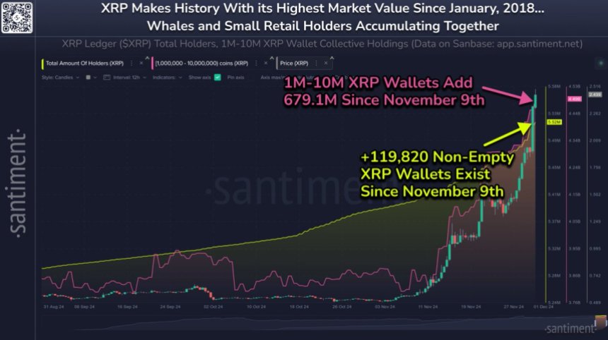 Кити накопичили 679,1 млн XRP (на даний момент вартістю 1,66 млрд дол.) лише за 3 тижні