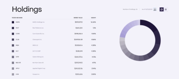 Mnrs Holdings