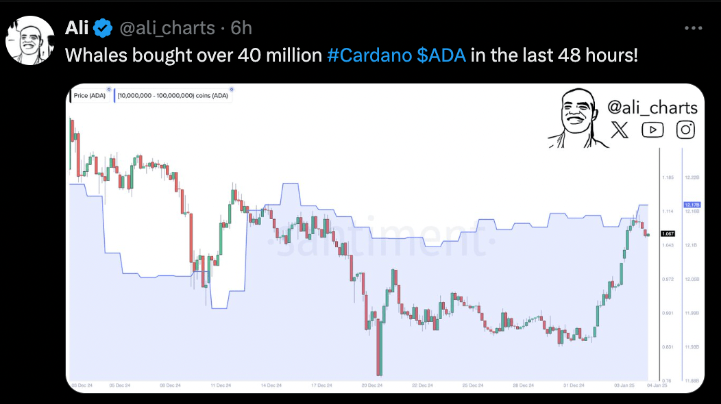 Ціна Cardano