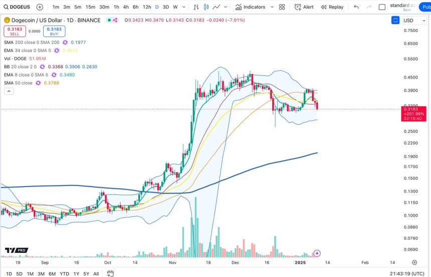 Dogecoin тестирует ежедневный спрос