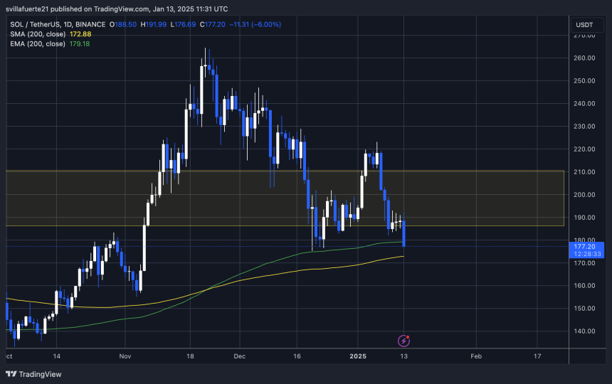 SOL тестирует критический спрос выше 175 долларов |Источник: график SOLUSDT на TradingView.