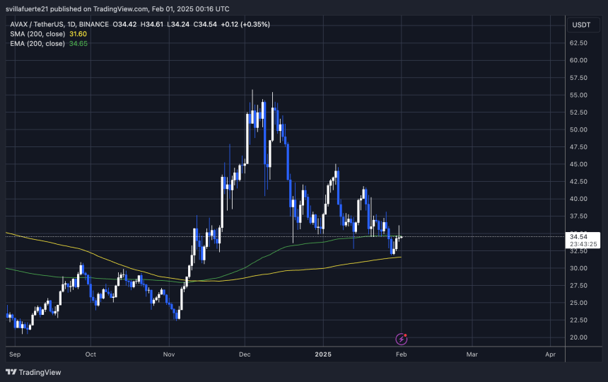 Тестування AVAX вирішальне постачання |Джерело: діаграма Avaxusdt на TradingView