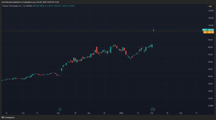 Palantir Technologies TradingView