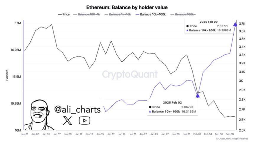 Китати Ethereum купують 600 000 ETH за тиждень |Джерело: Алі Мартінес на x