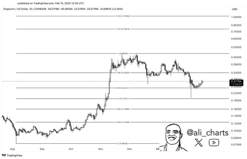 Dogecoin отдыхает до уровня 0,618 FIB |Источник: Али Мартинес на x