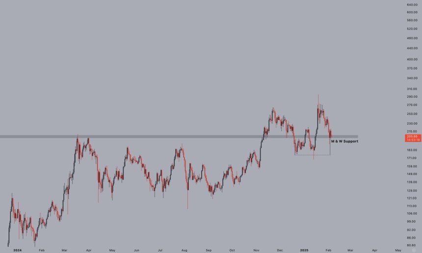 Solana Holding Key Support Level |Источник: Jelle on x