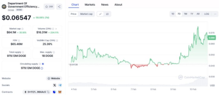 ДЕПАРТАМЕНТ УРЯДОВОї ЕФЕКТИВНОСТІ ($doge)