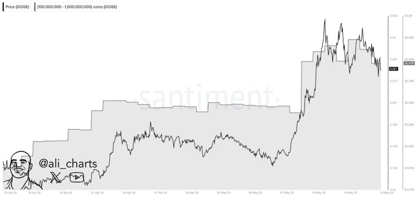 Кити догекуїна купили 1b дог за місяць |Джерело: Алі Мартінес на x