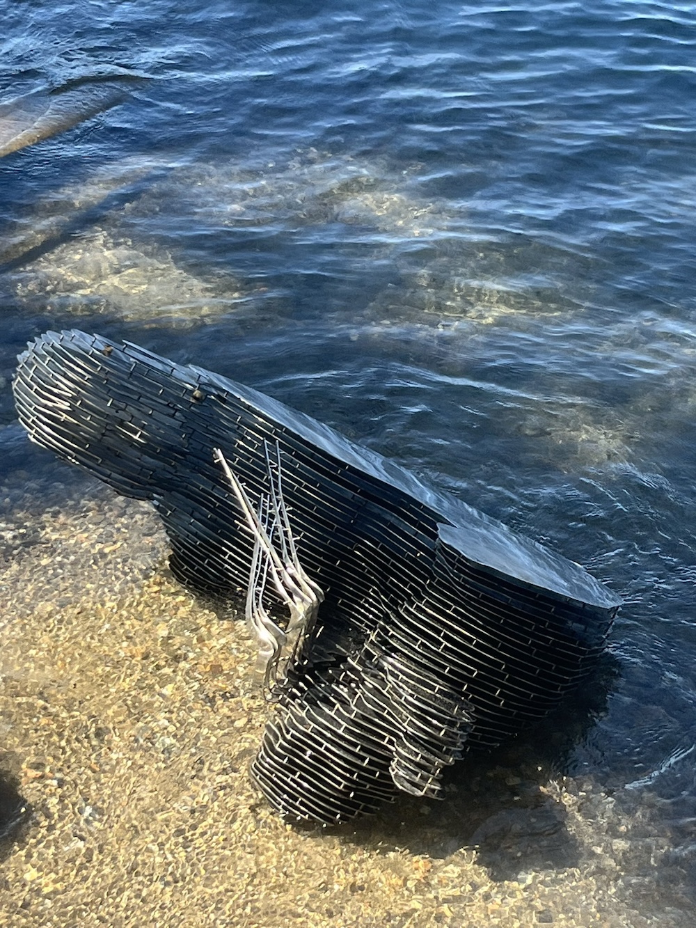 Сатоши Накамото, Швейцария, преступления, усыновление Биткоин