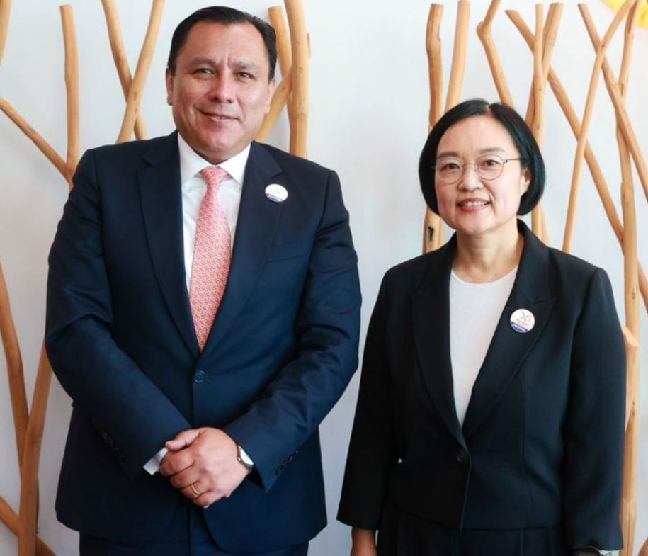 Правительство, венчурный капитал, инвестиции, Южная Корея, политика