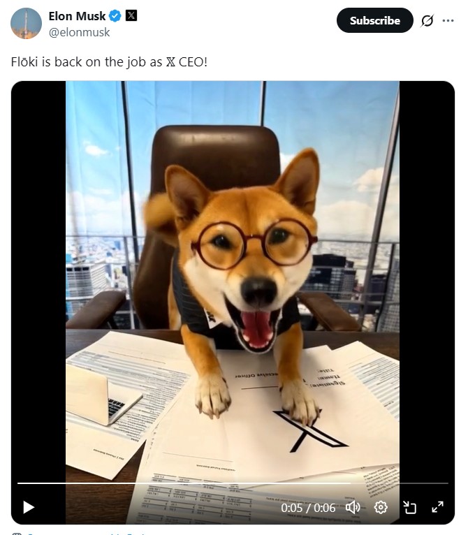 Dogecoin, Илон Маск, Memecoin